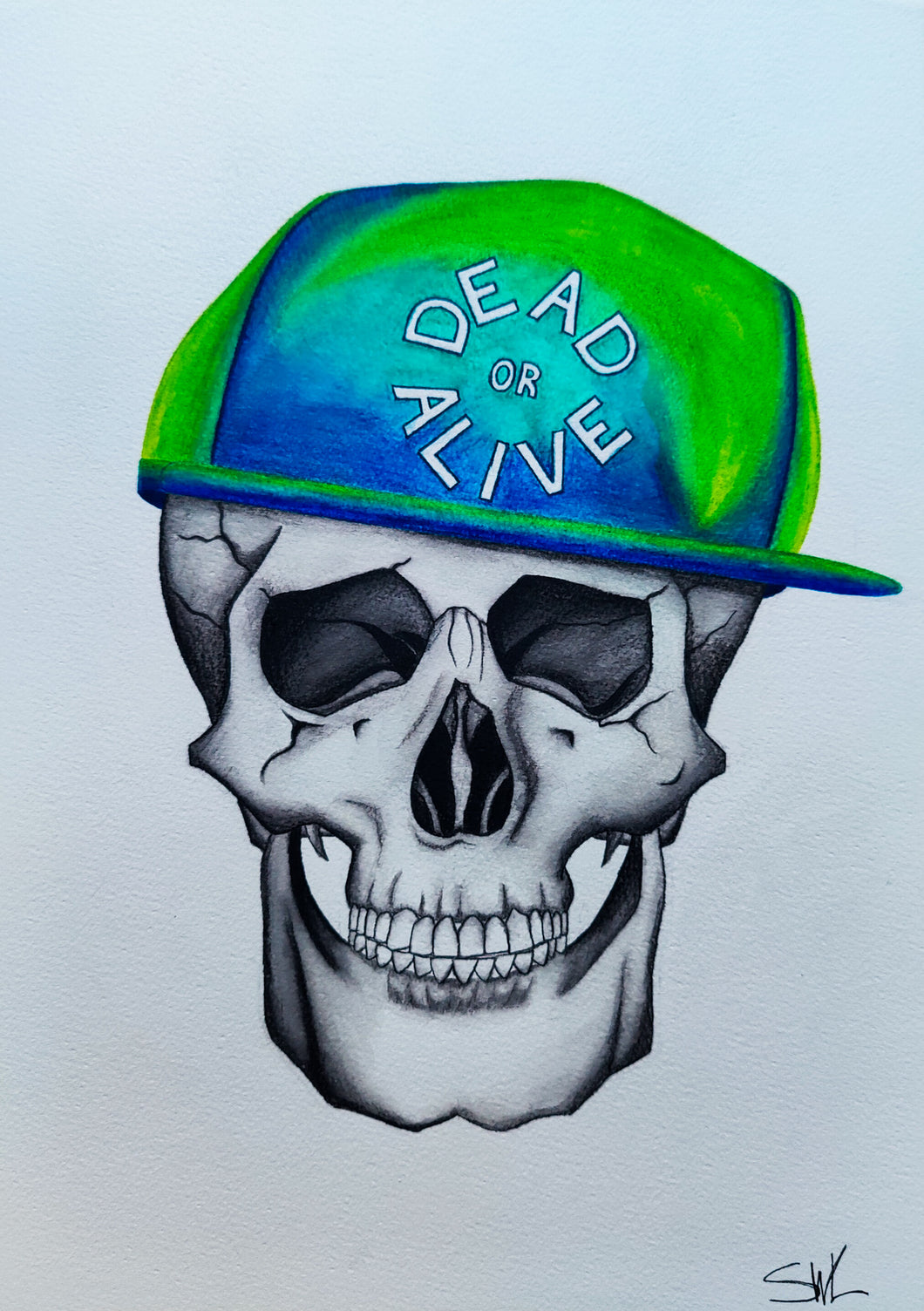 Dead or Alive Skull Illustration